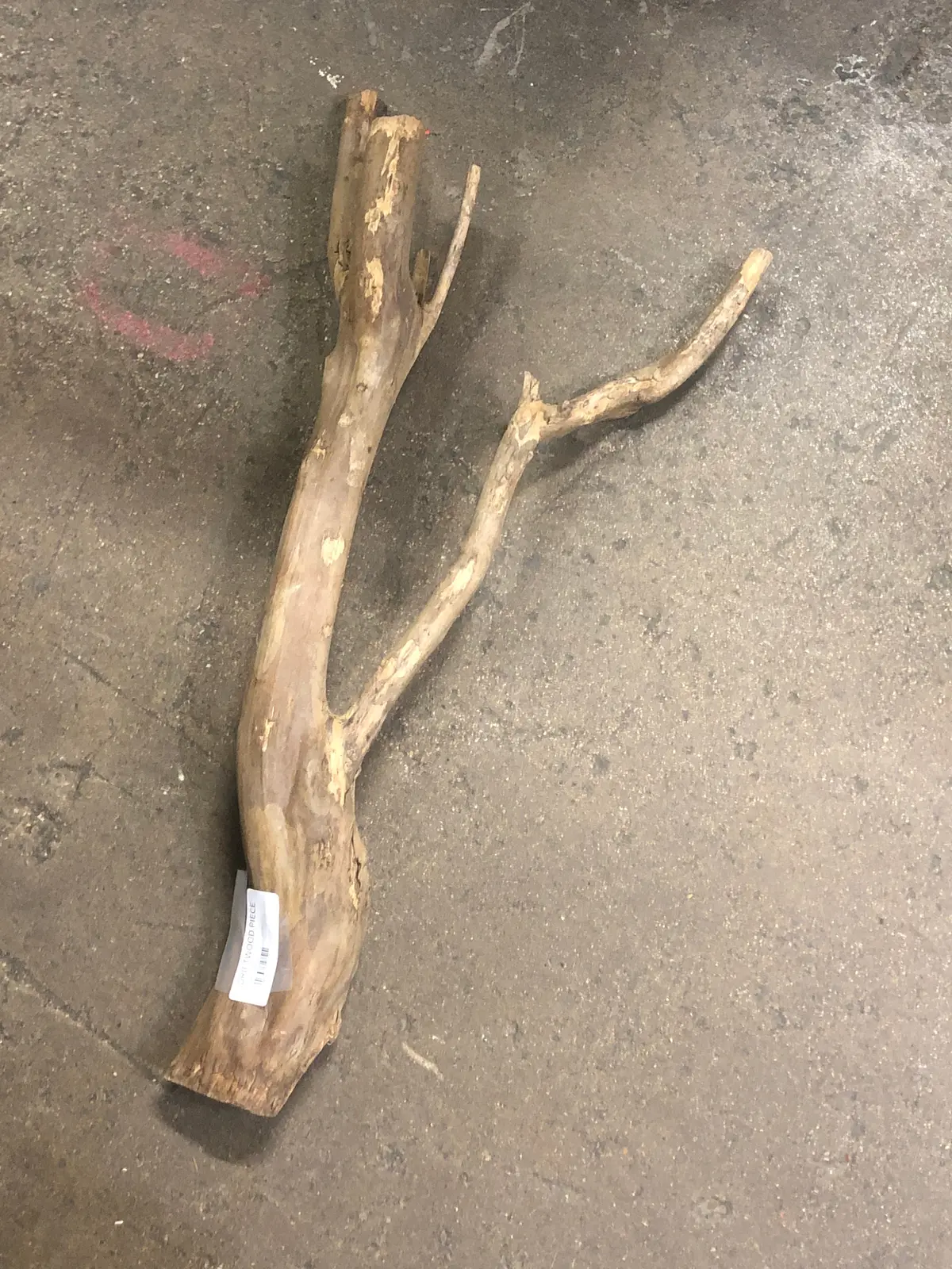 Driftwood Piece 1