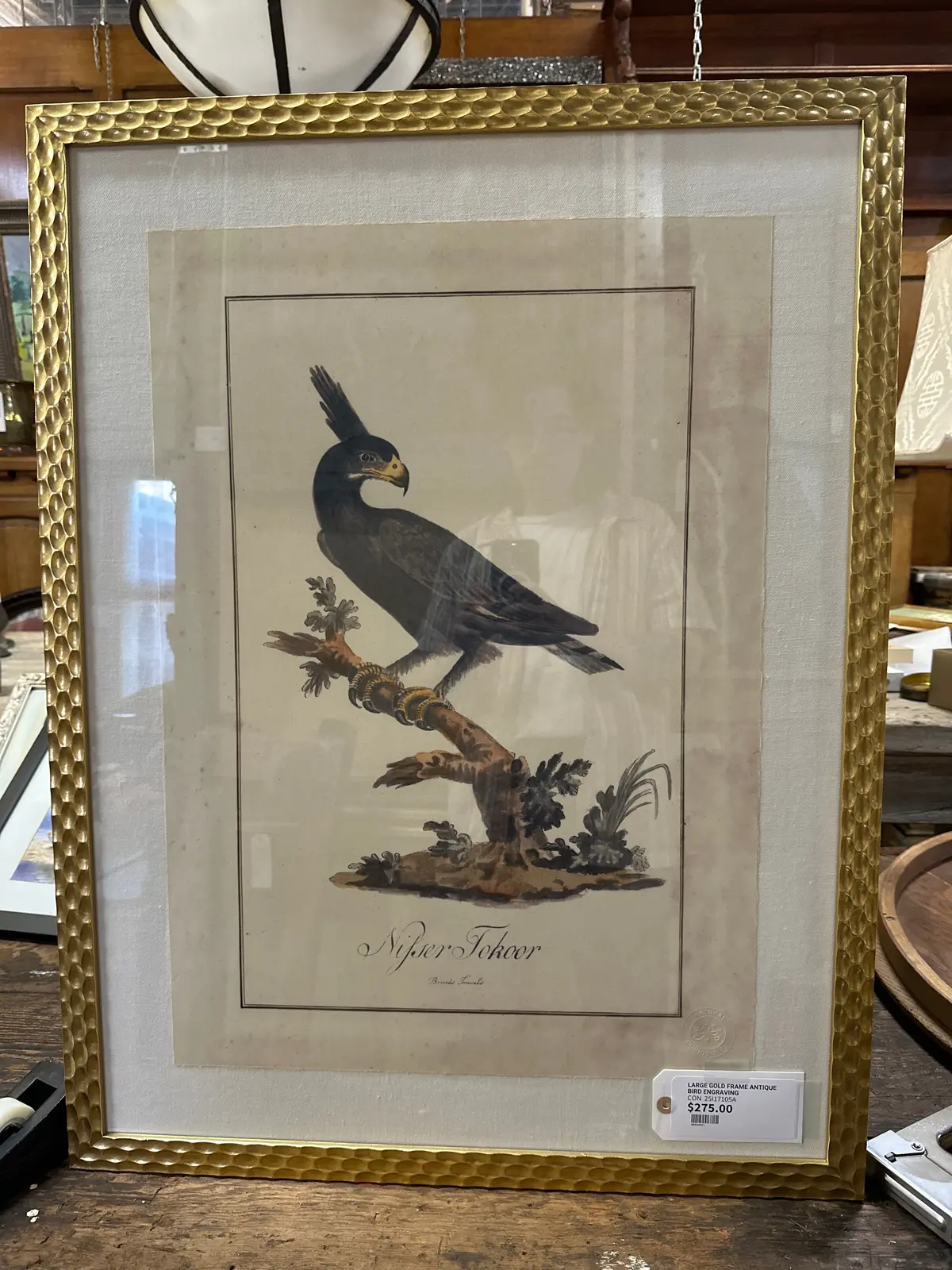 Large Gold Frame Antique Bird Engraving 1