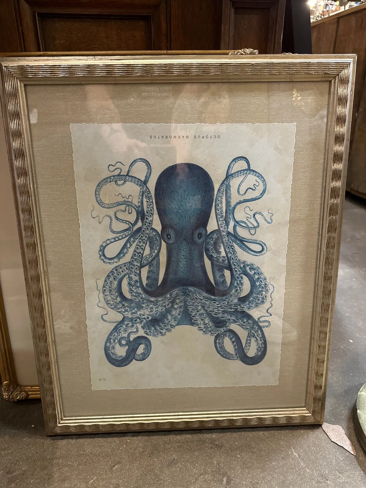 Framed Octopus Print 1