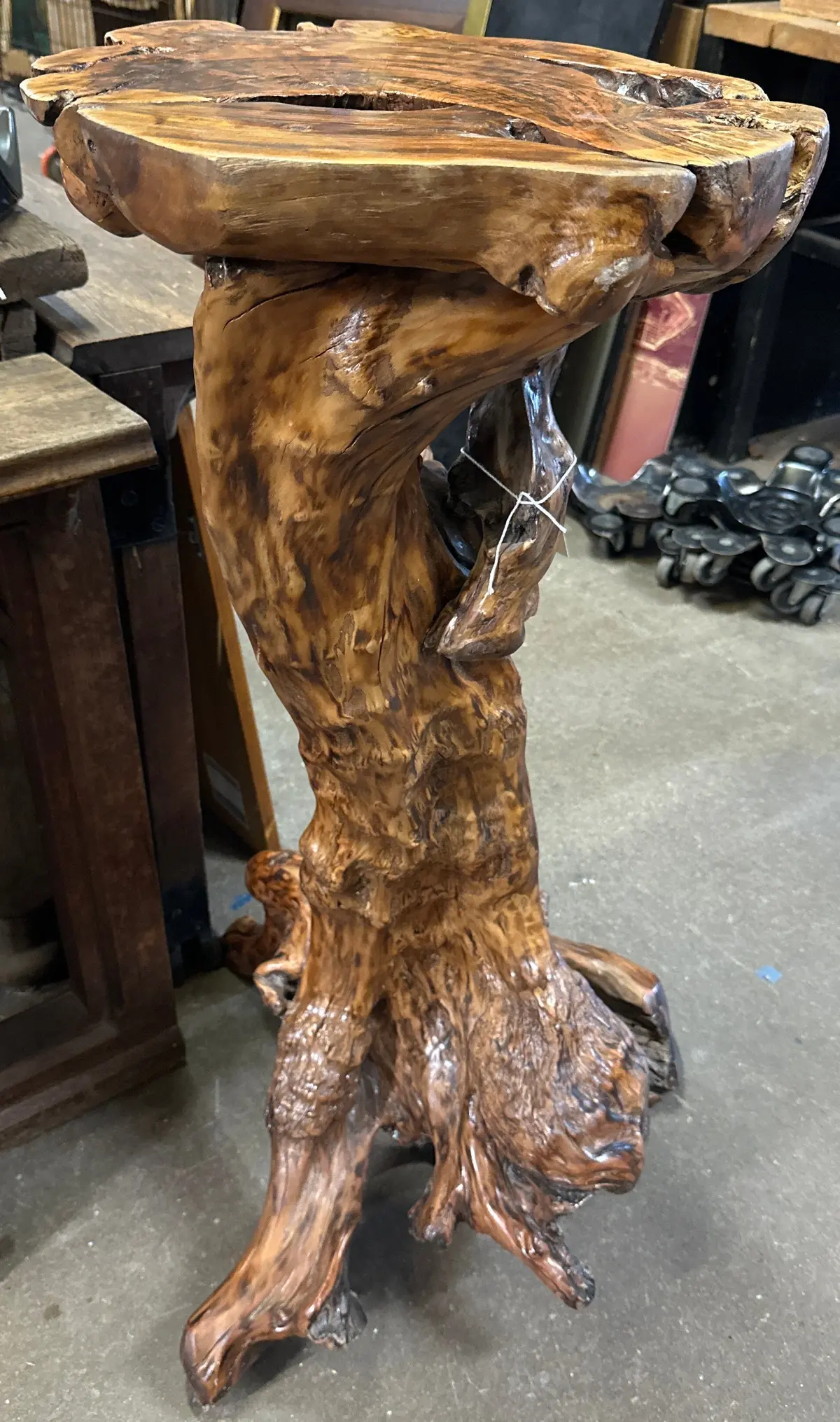 Burl Root Pedestal 1