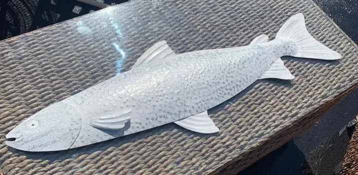 White Tin Trout 1
