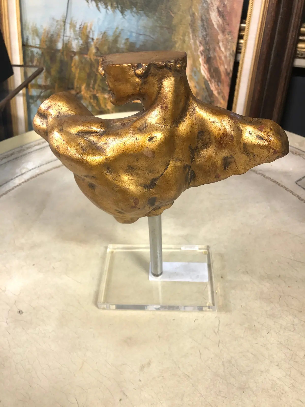 Male Torso On Lucite 1