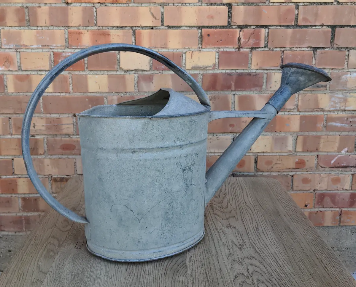 Galvanized Tin Watering Can With Shower Spout 1