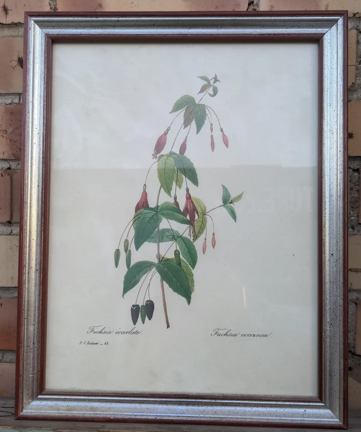 Botanical In Silver Frame 1