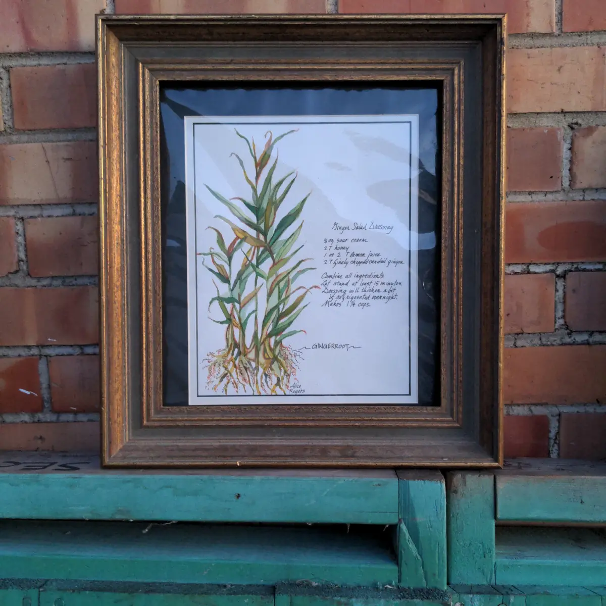 Print Of A Ginger Plant 1