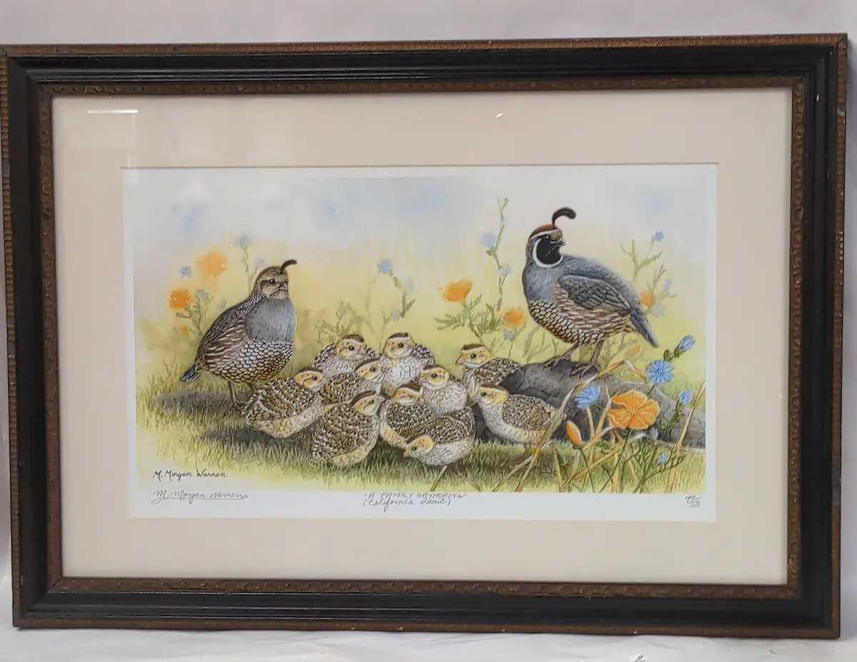 A Family Gathering (California Quail) Signed Print Morgan Warren 1