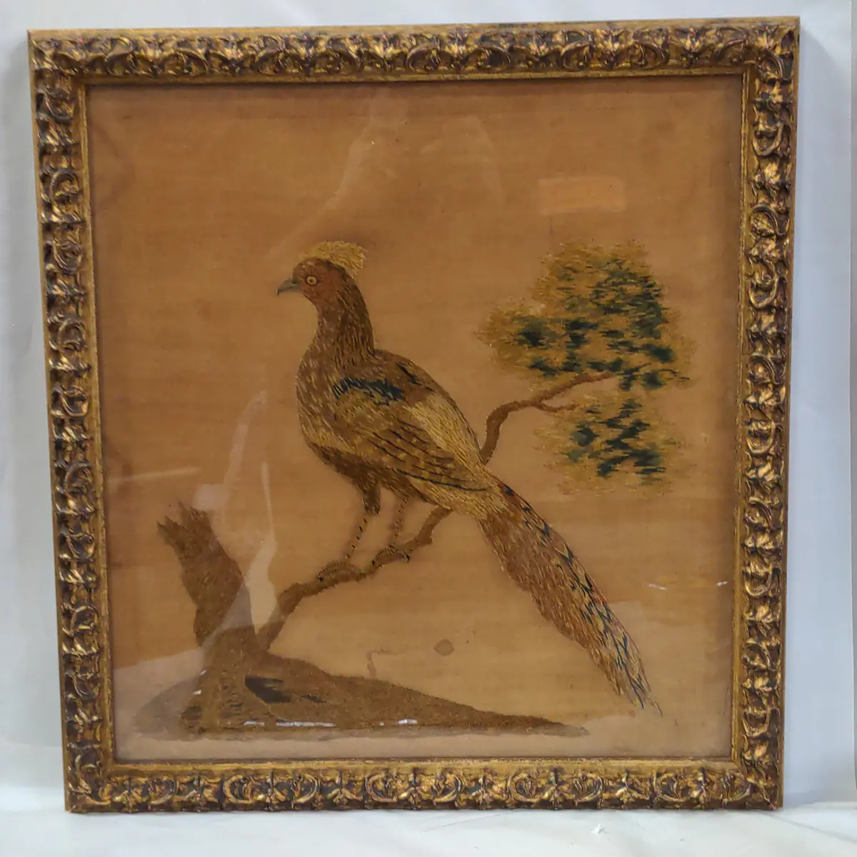 Framed Antique Embroidery Of Pheasant 1