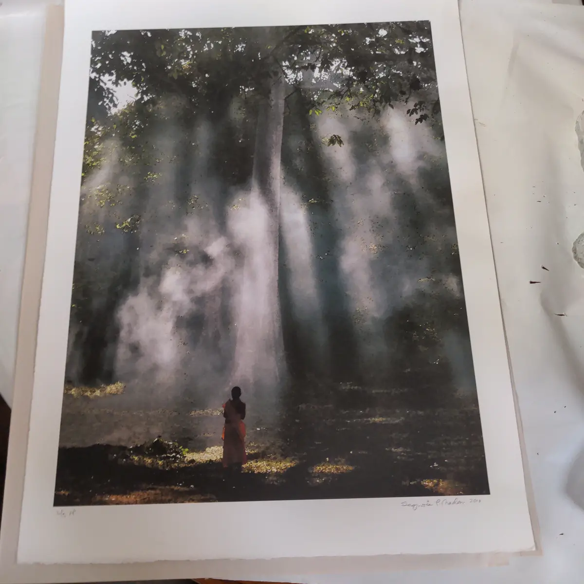 Signed Print Of Indian Woman In The Forest 1
