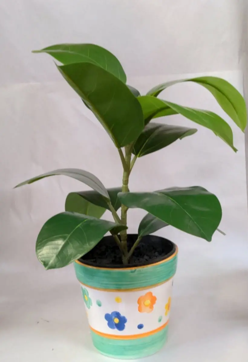 White & Green Glazed Ceramic Flower Pot 1