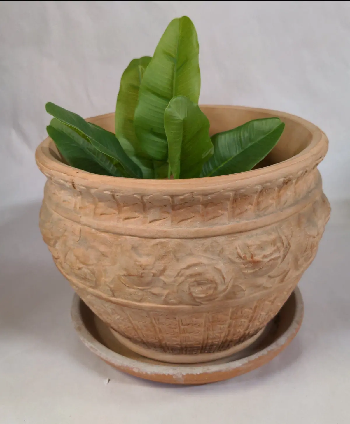 Round Terracotta Planter With Roses And  Under Plate 1