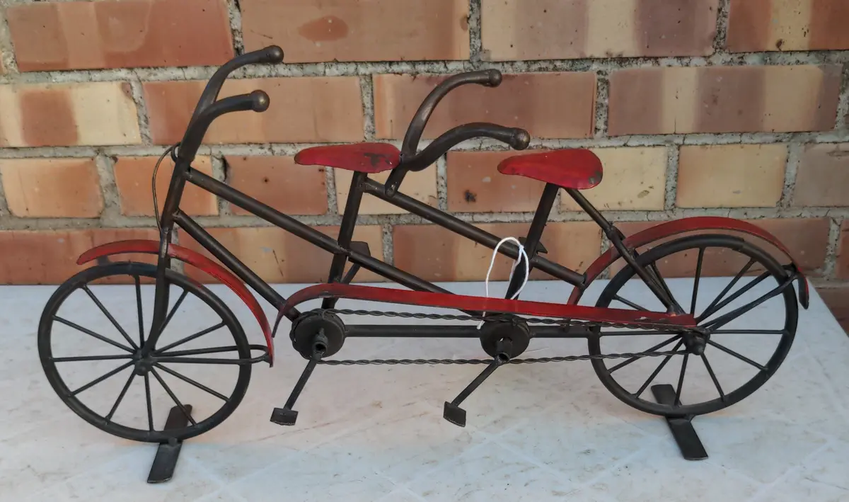 Miniature Two-Seater Bicycle 1