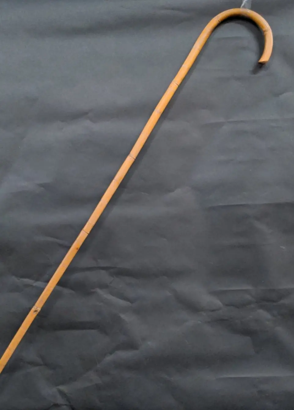 Thin Bamboo Cane 1