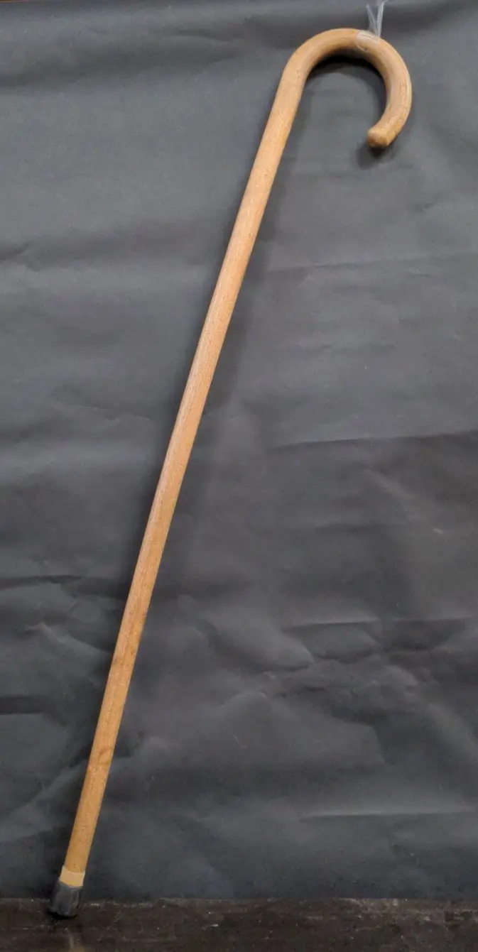 Simple Light Wood Cane 1