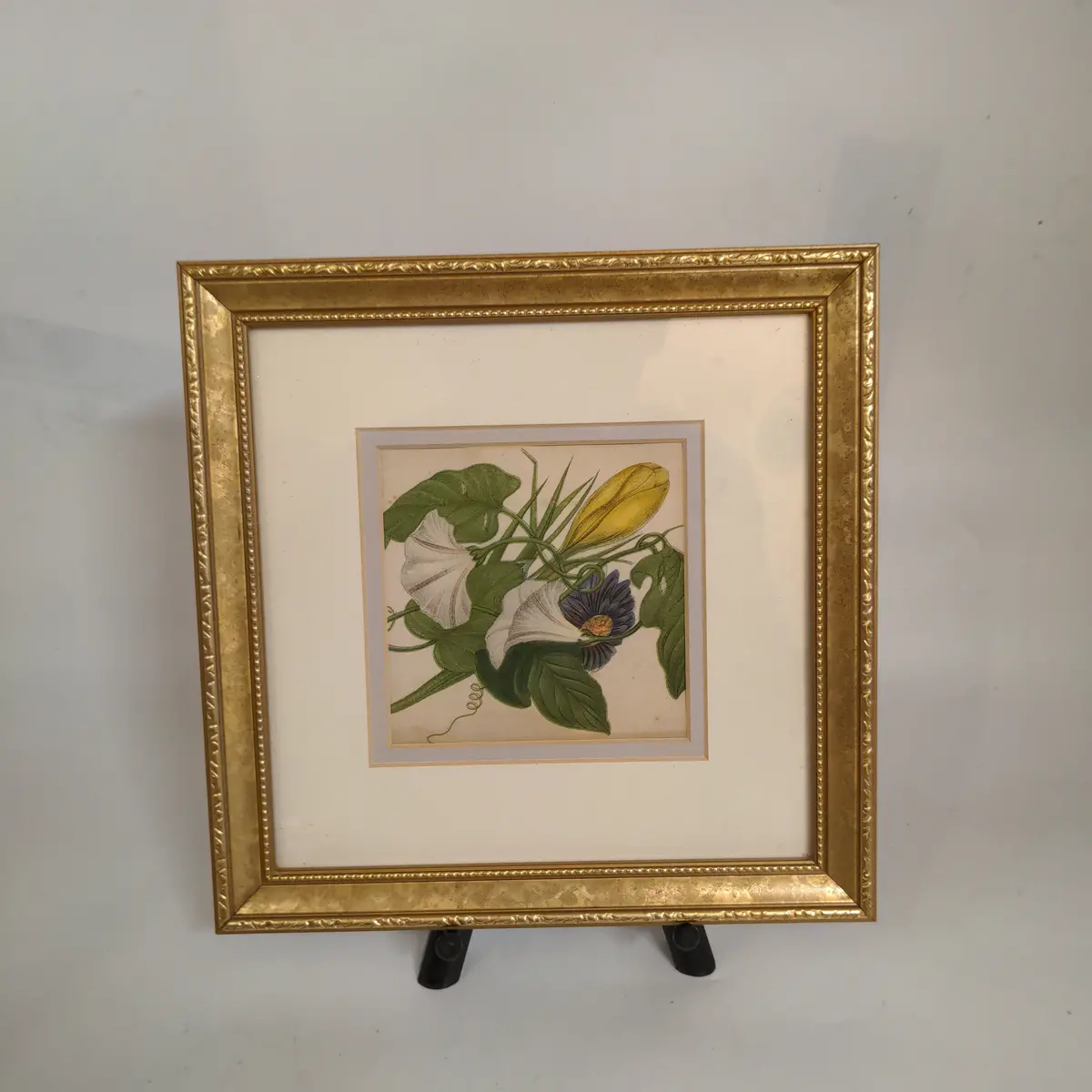 Small Framed Floral Watercolor 1