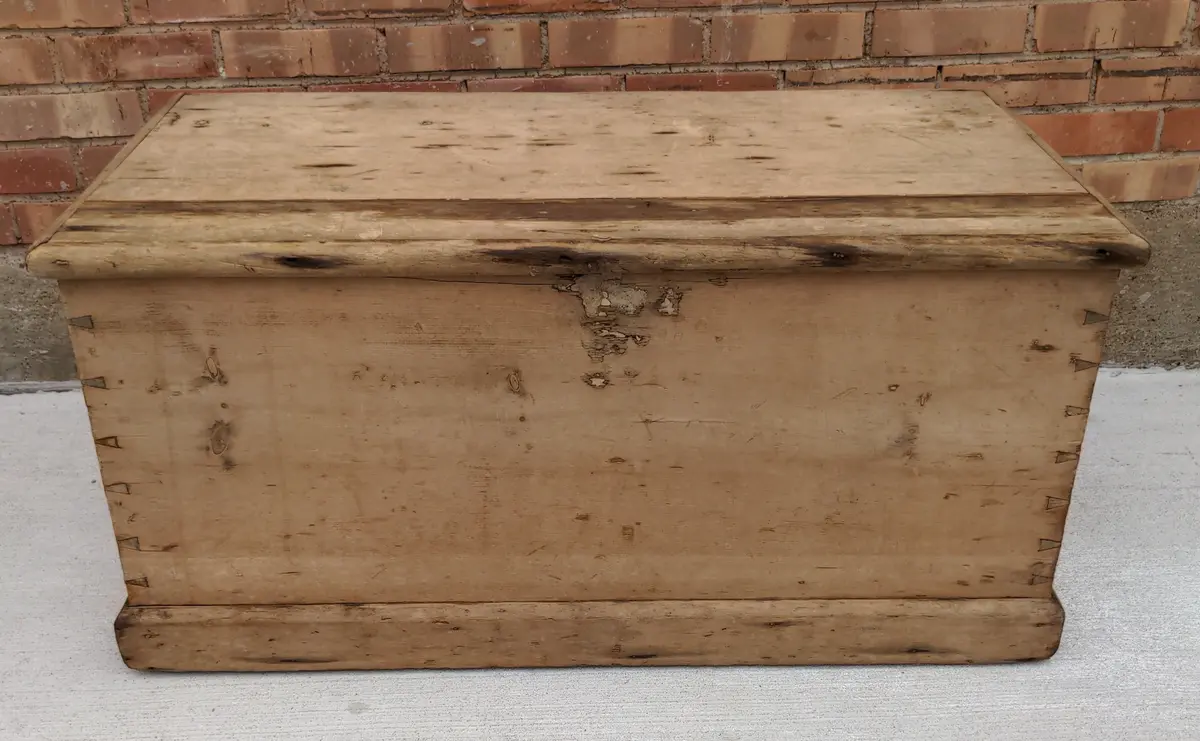 Early Pine Kist (Trunk) As Found 1
