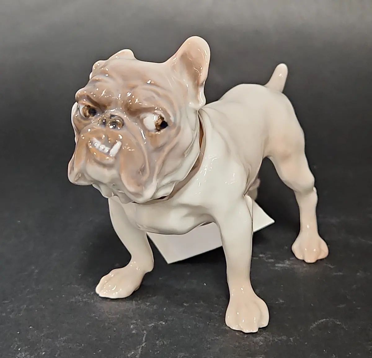 Royal Copenhagen Bulldog With Attitude 1