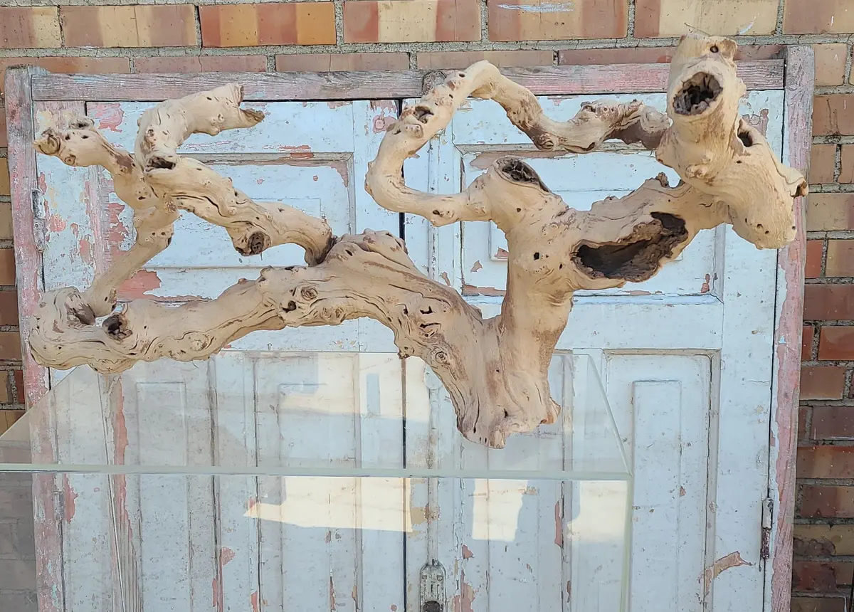 Driftwood Sculpture 1