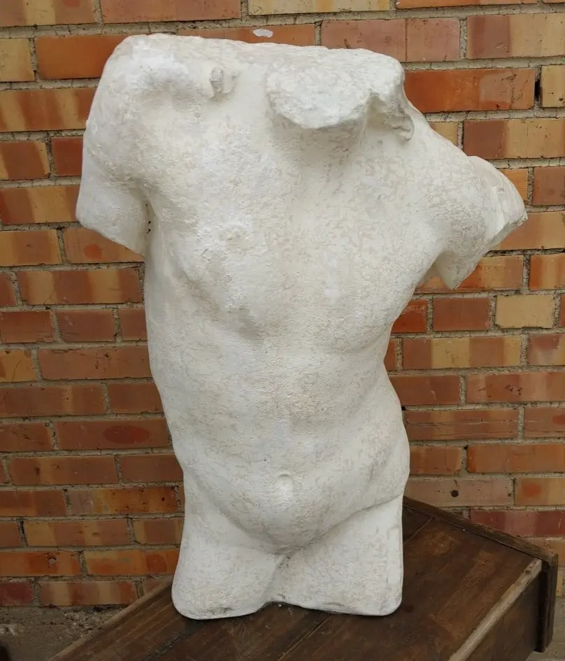 Partial Plaster Male Tors0 1