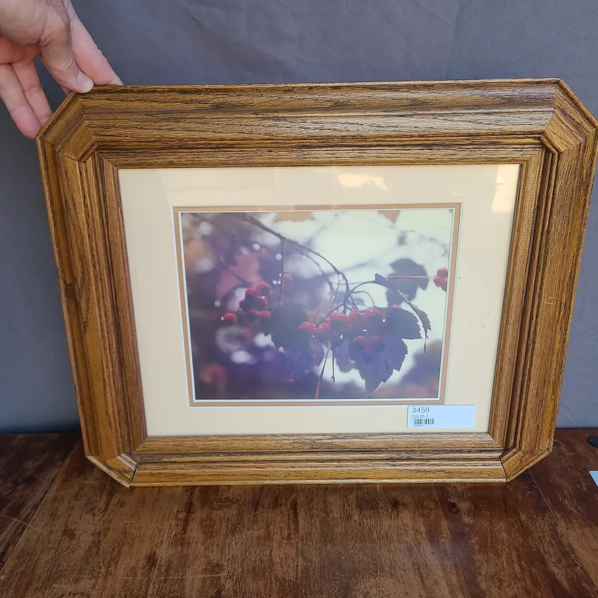 Framed Color Photo Of Berries 1