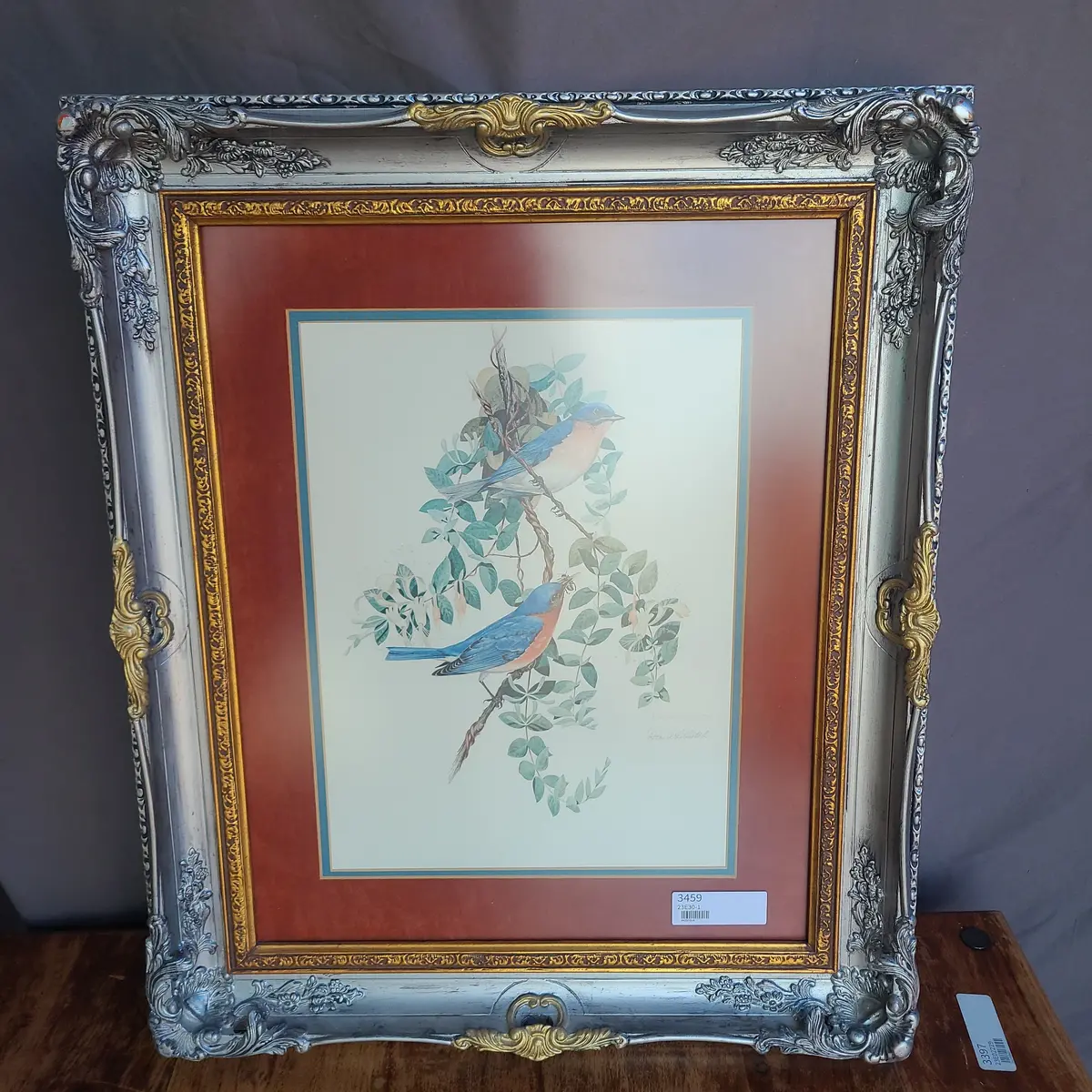 Framed Print Of Two Robins 1