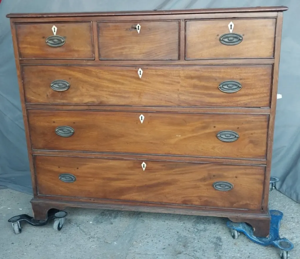 Early English Mahogany Chest With Inlaid Escutcheons 1