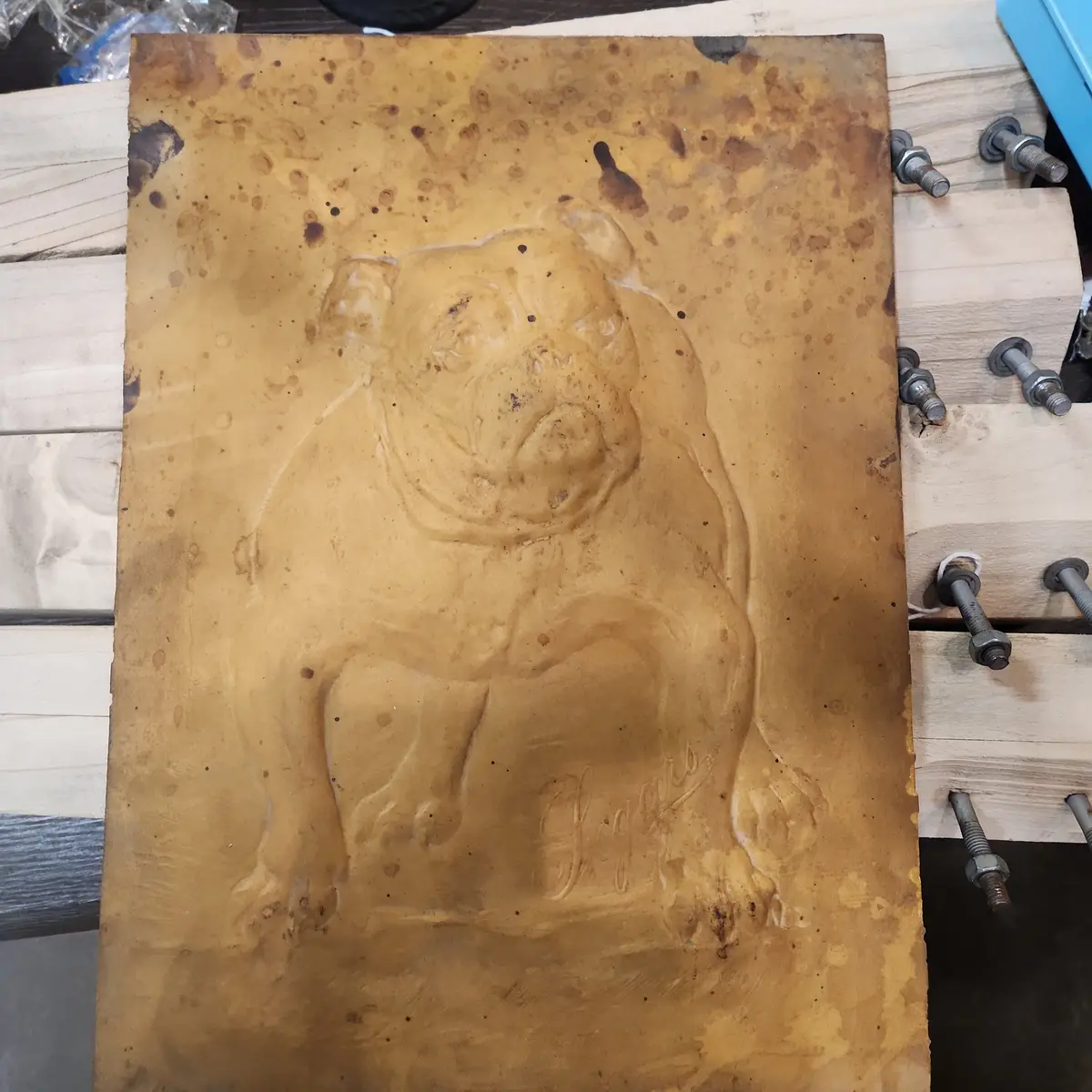 Composition Bulldog Plaque As Found 1