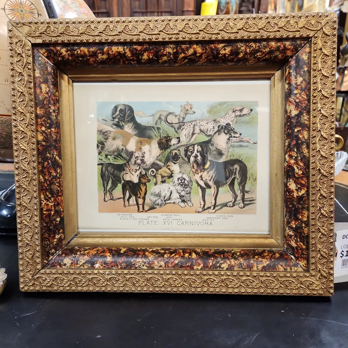 Dog Plate Illustration 1