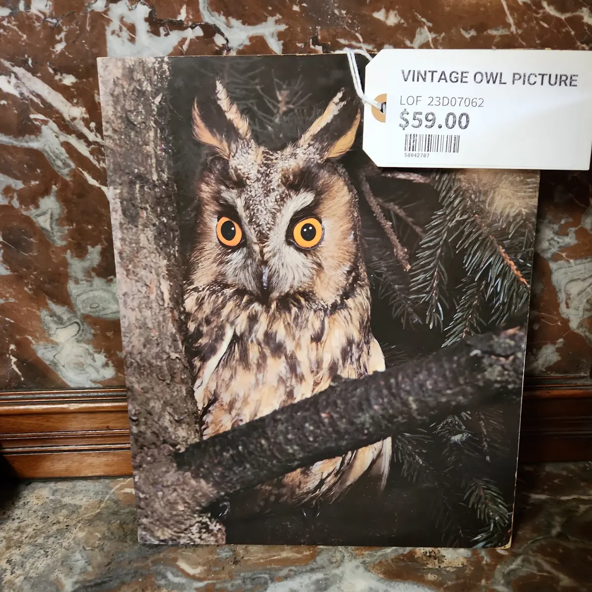 Vintage Owl Picture 1