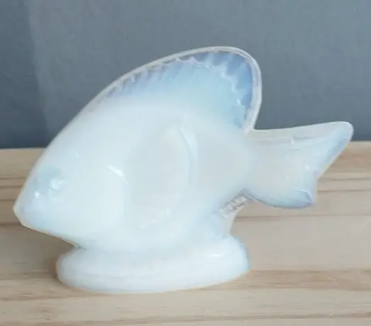 Sabino Glass Fish 1