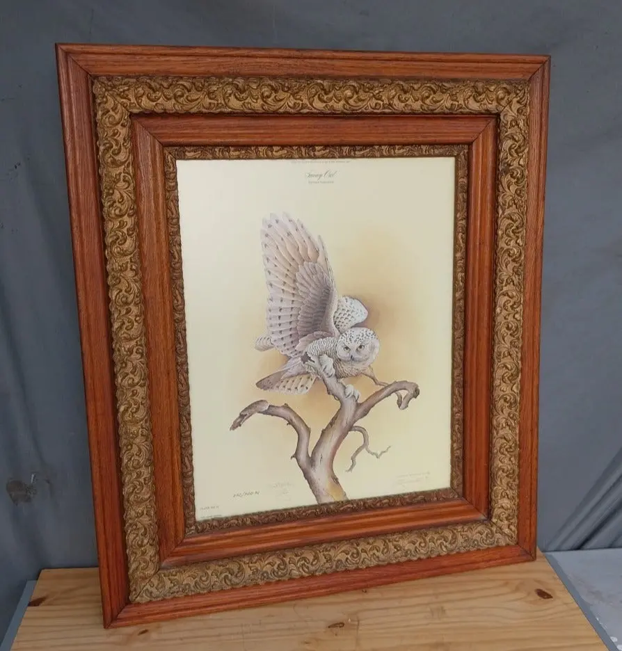 Owl Print In Antique Frame 1