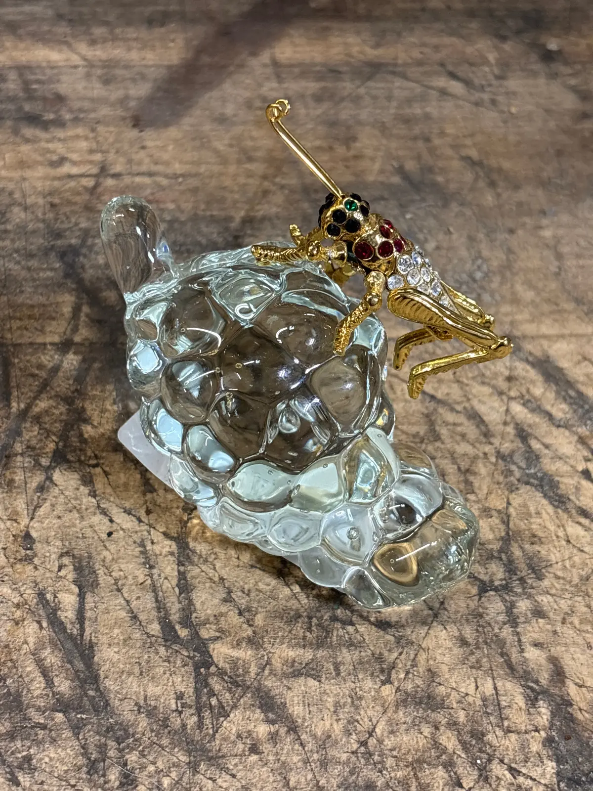Jeweled Cicada Mounted To Clear Glass Grapes 1