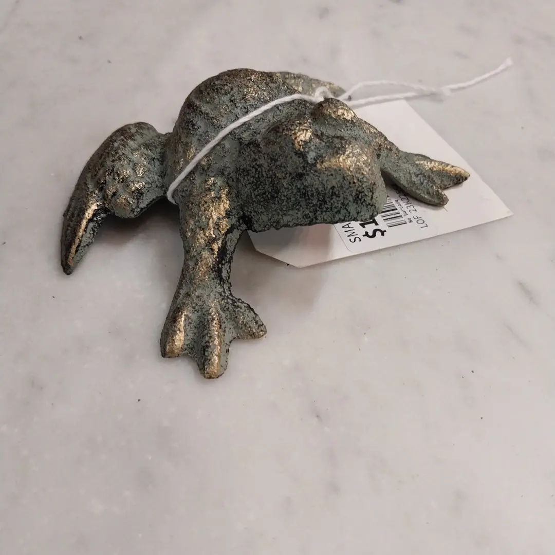 Small Iron Frog 1