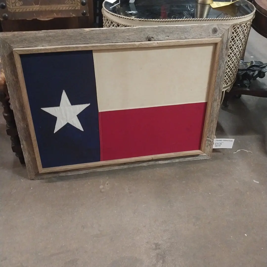 Framed Texas Flag 1