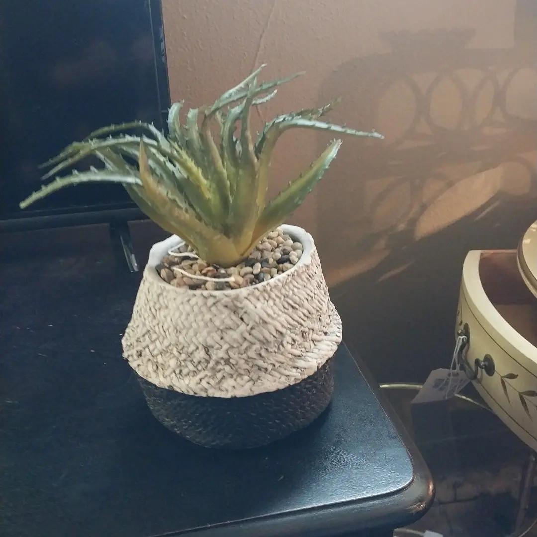 Small Faux Aloe Vera Plant In Planter 1