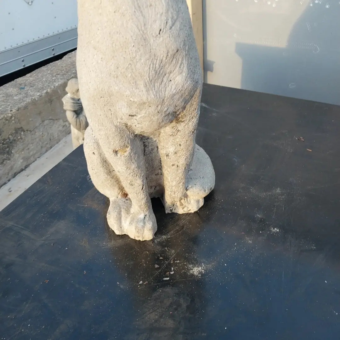 Concrete Coyote 1