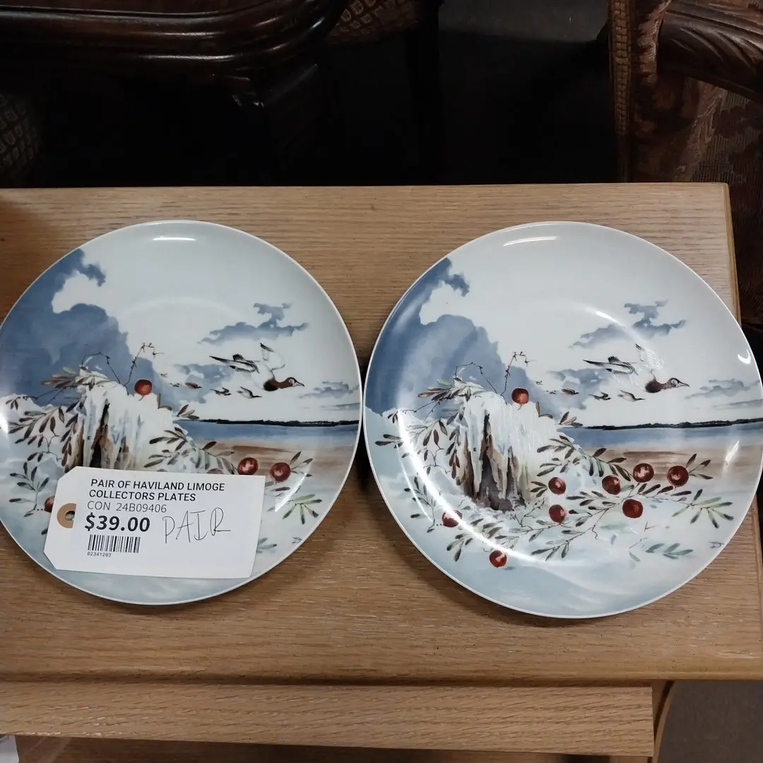 Pair Of Haviland Limoge Collectors Plates 1