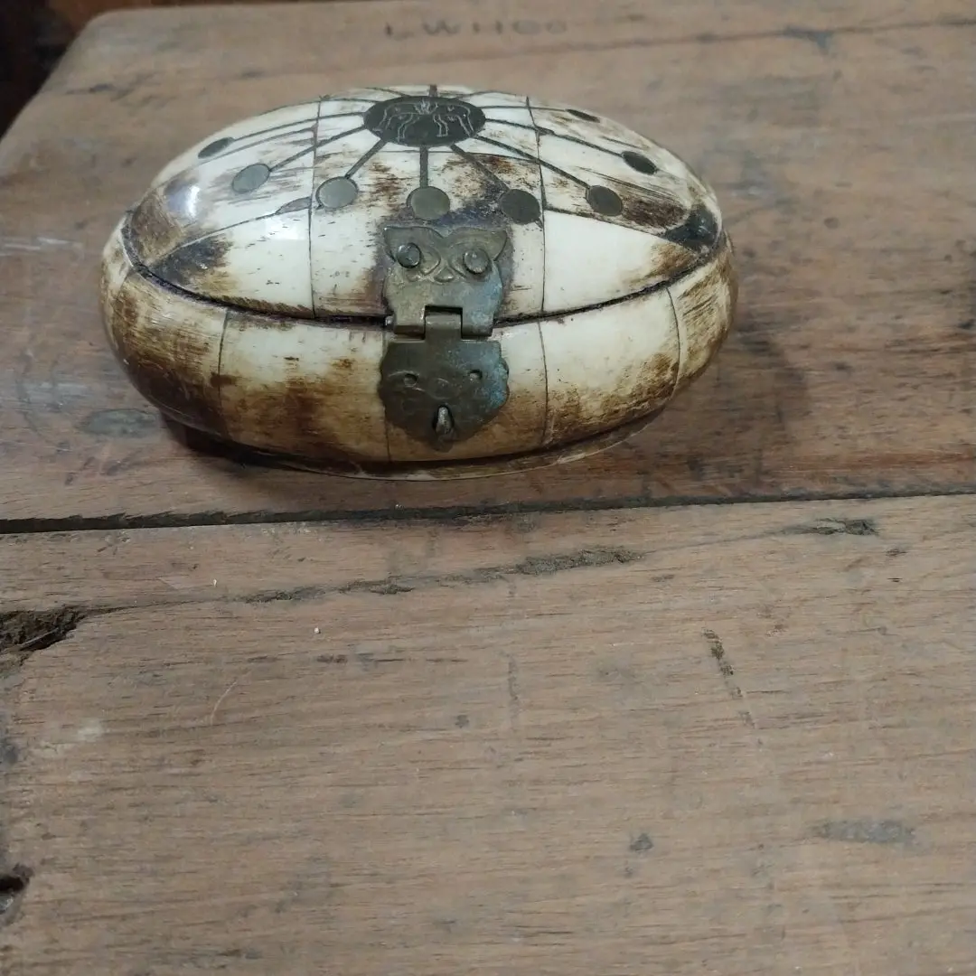 Small Oval Bone Box With Lid 1