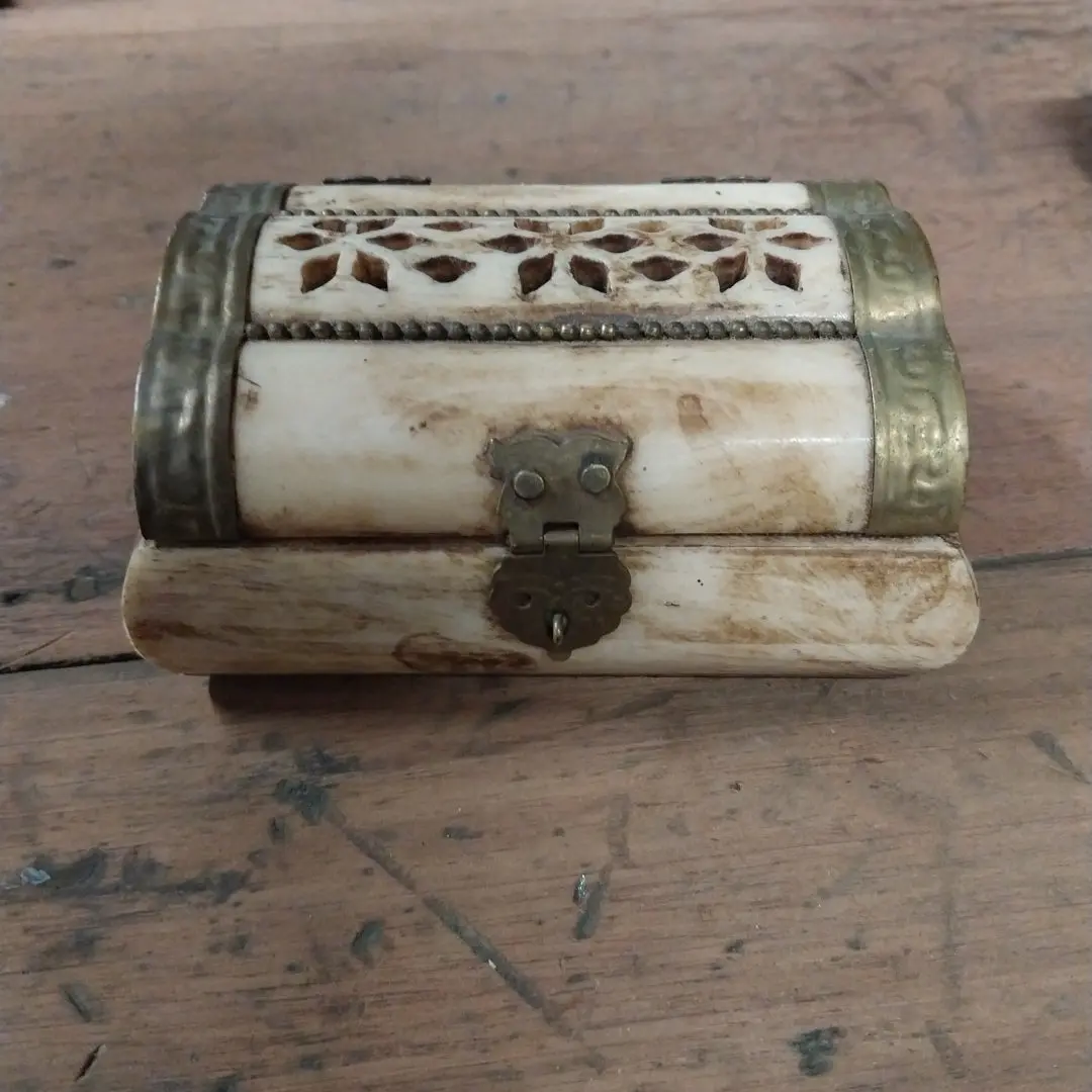 Small Rectangular Bone Box With Lid 1
