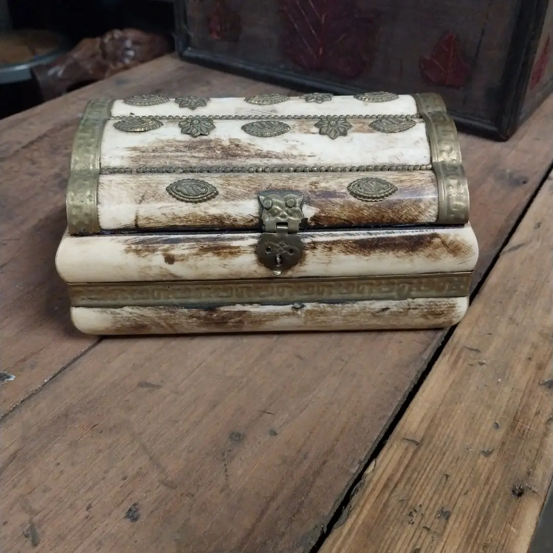 Bone Box With Domed Lid As Found 1