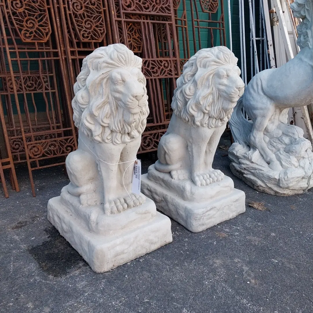 Pair Of Roaring Medium Concrete Crouching Lions 1
