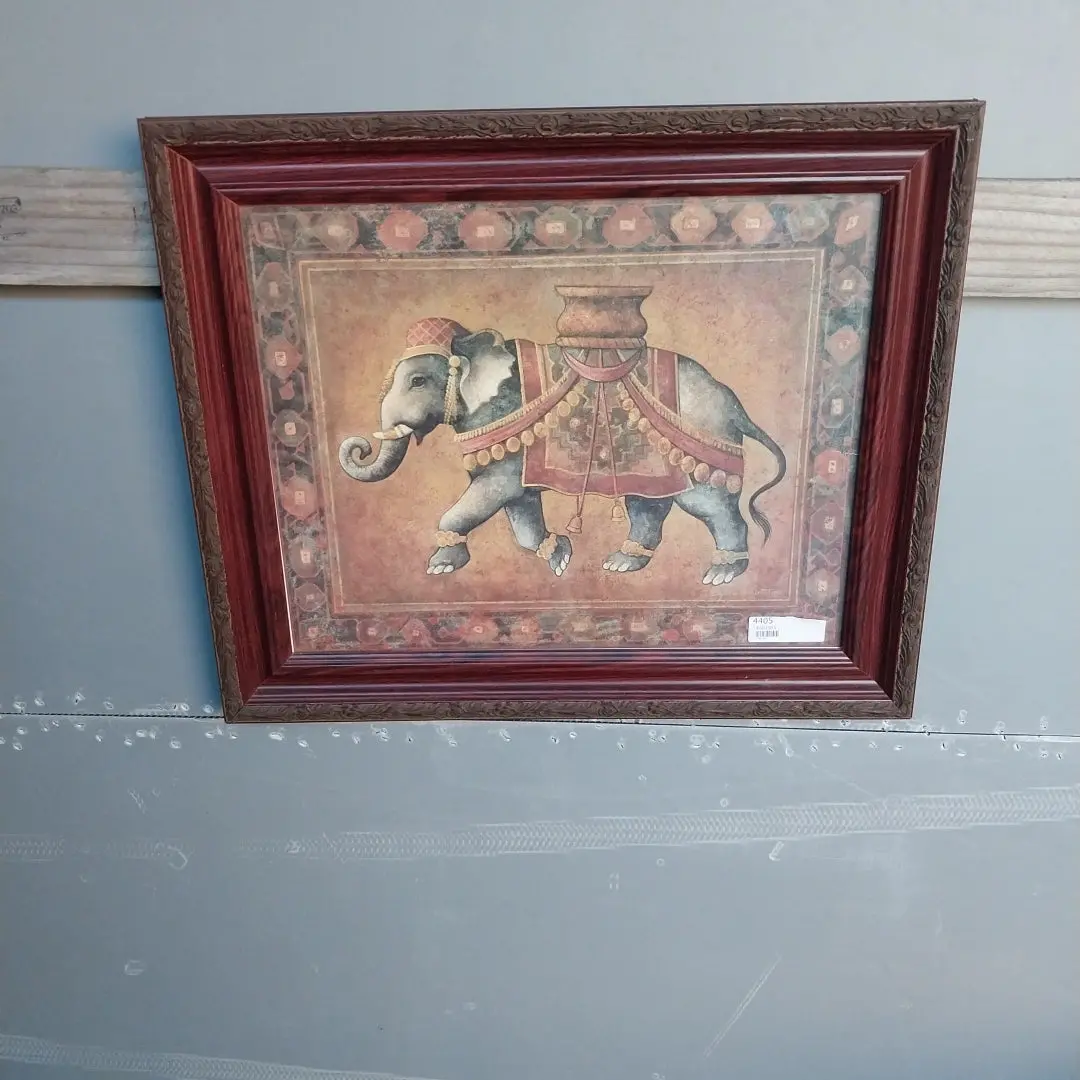 Framed Print Of An Indian Elephant 1