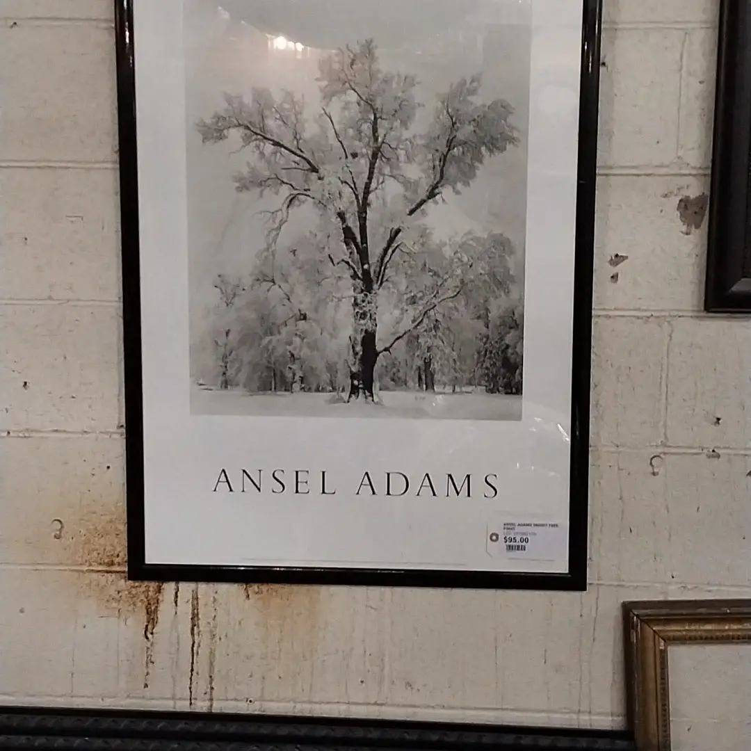 Ansel Adams Snowy Tree Print 1