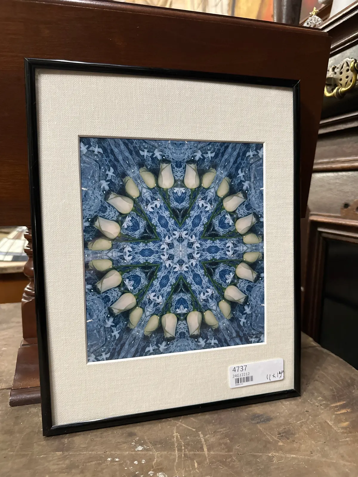 Kaleidescope Picture 1