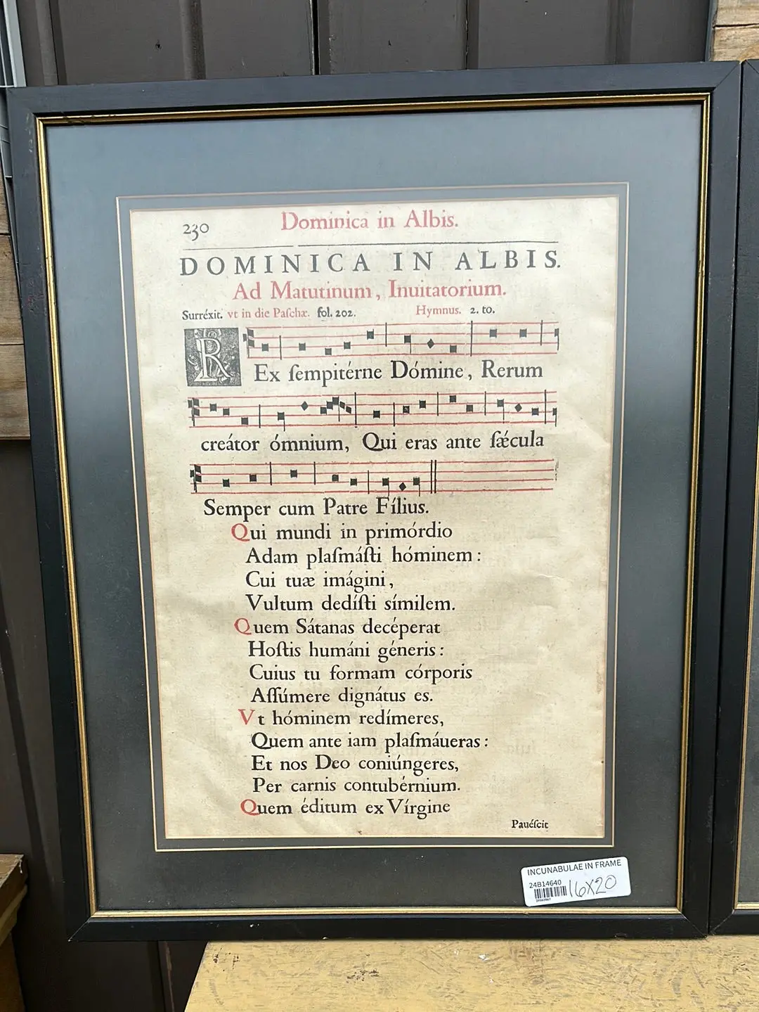 Incunabulae In Frame 1