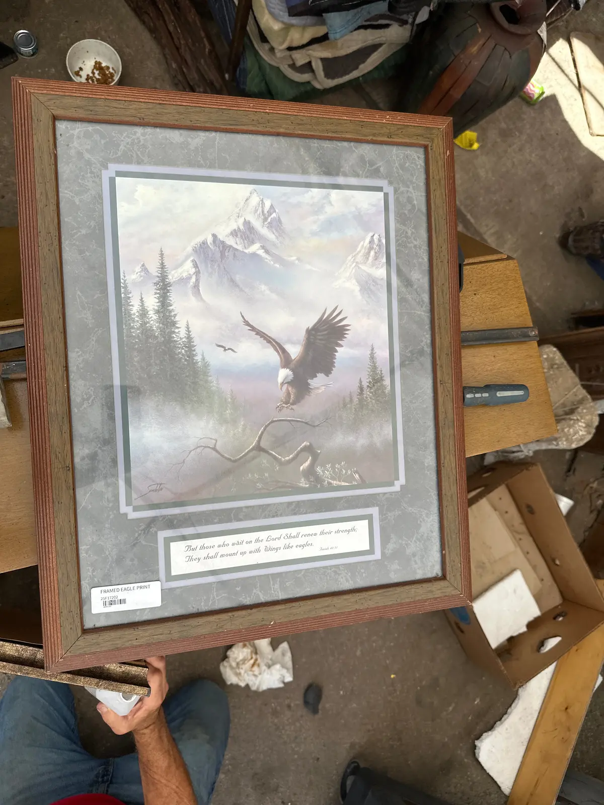 Framed Eagle Print 1