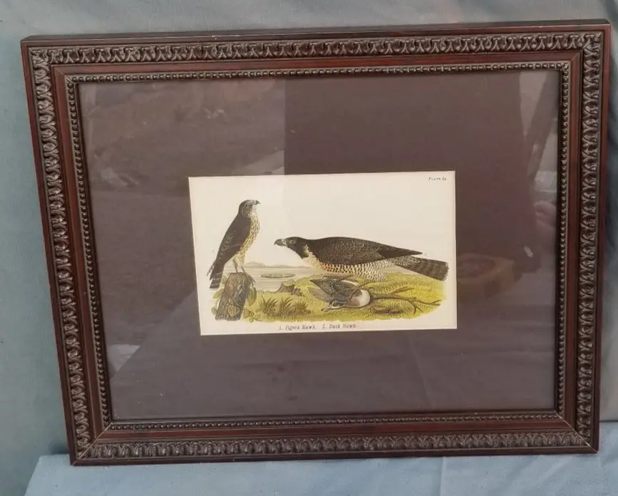 Pair Of Horzontal Bird Prints 1