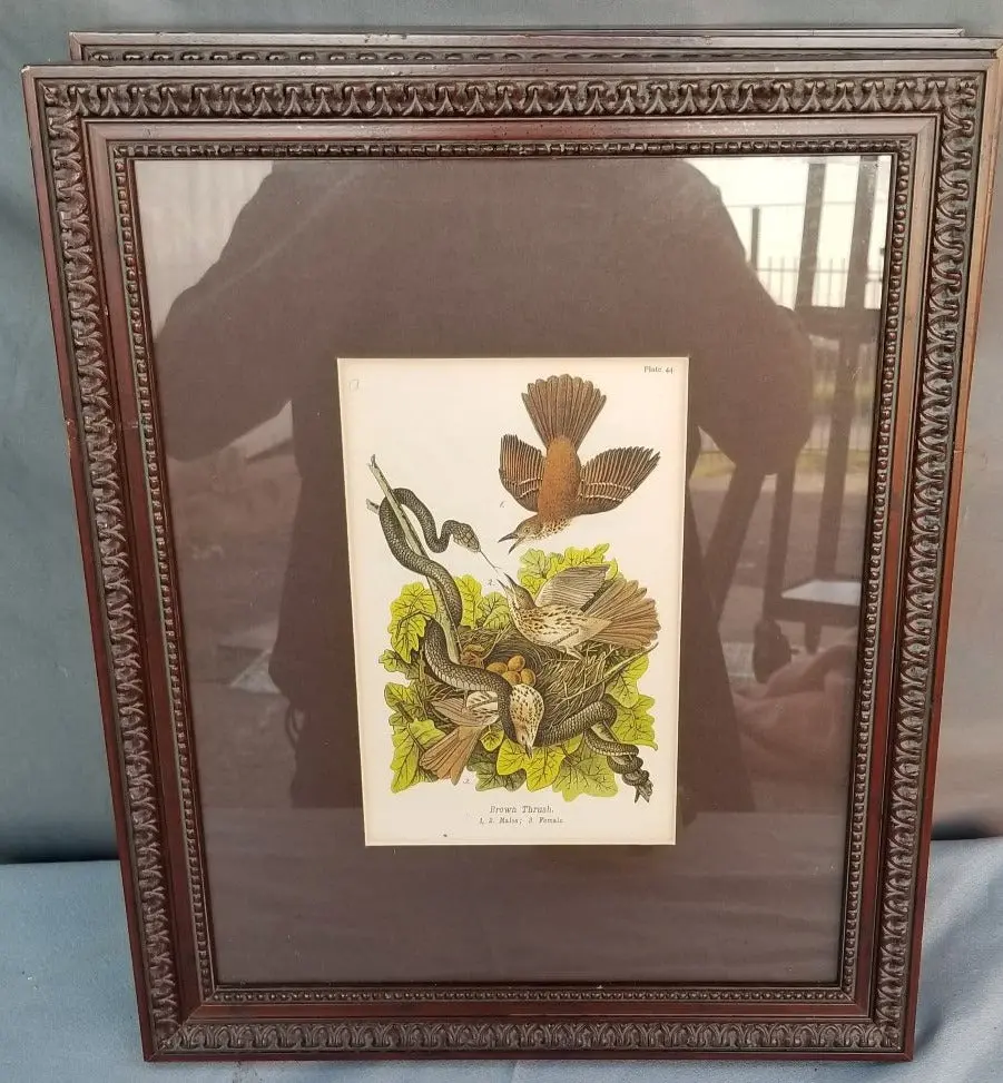 Triptic Of Vertical Bird Prints 1