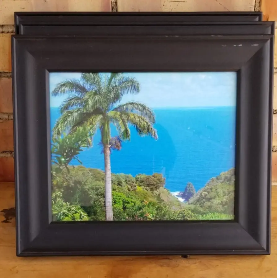 Small Tropical Palm Tree Photo In Frame 1