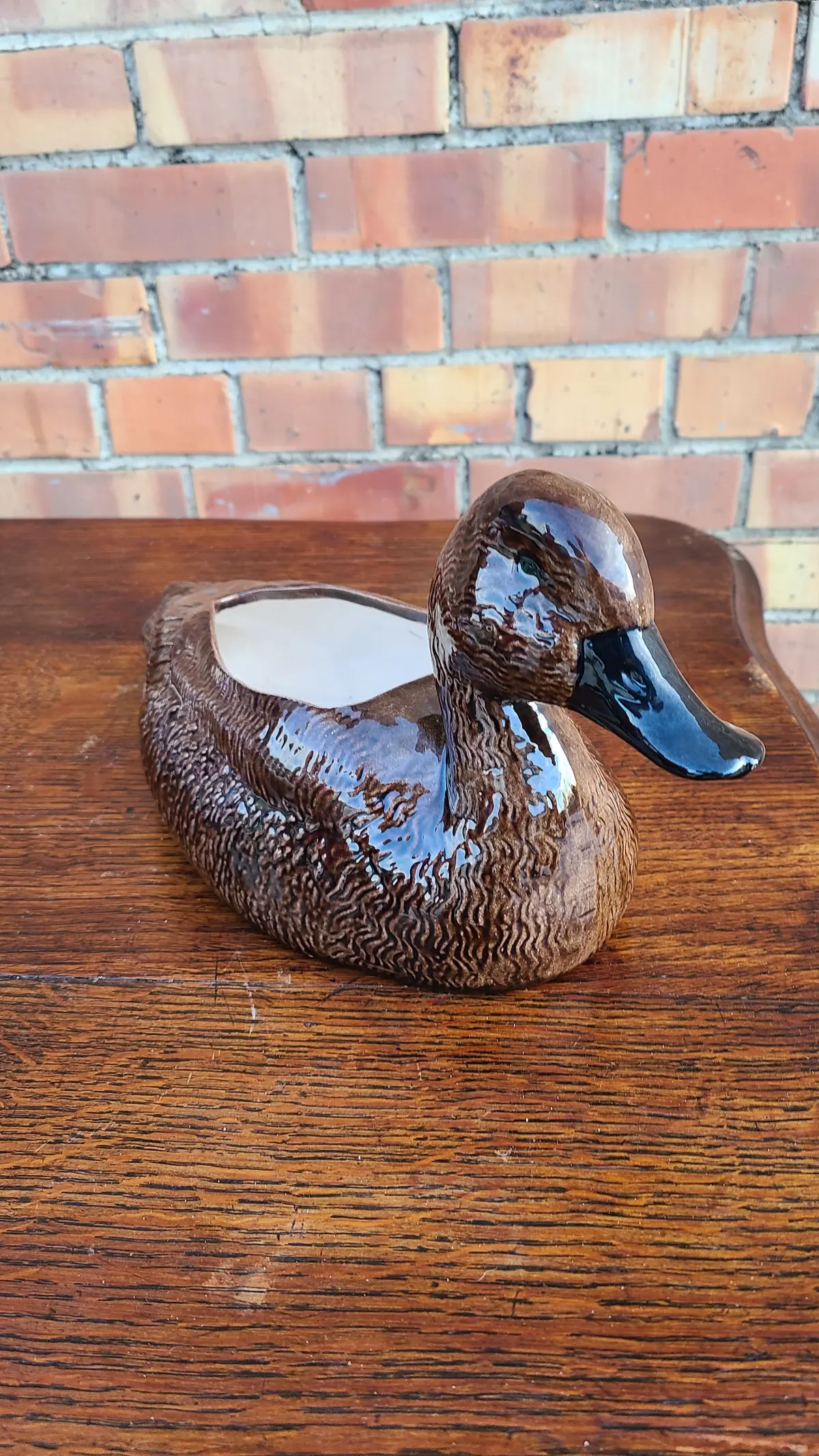 Brown Ceramic Duck Planter 1