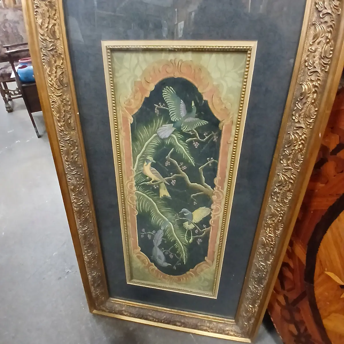Framed Bird Print 1
